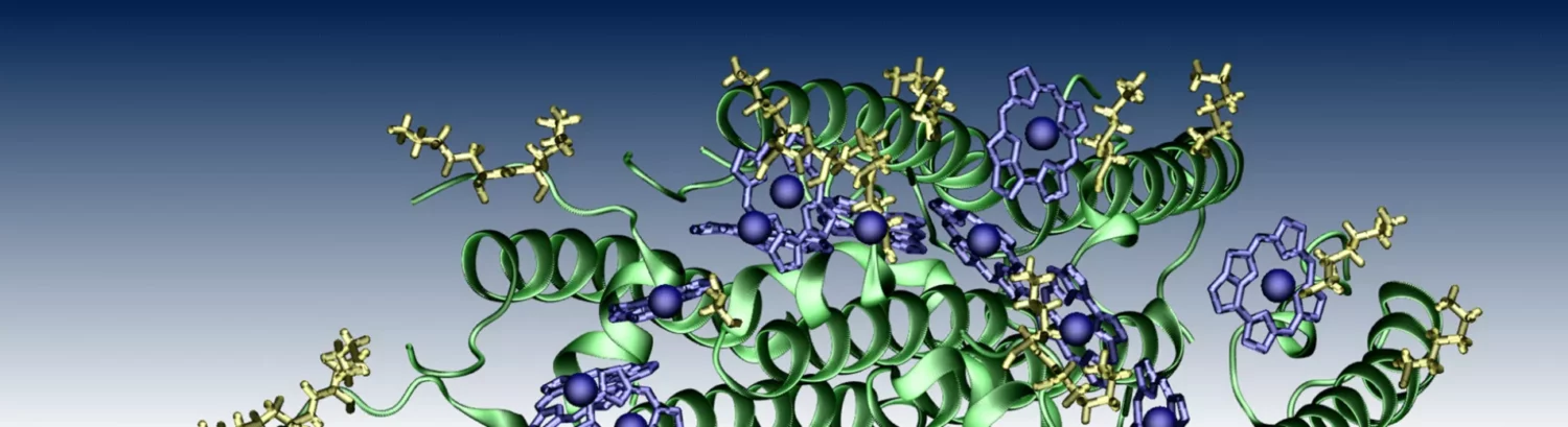 PhotoCaM: Photosynthetic Antennas in a Computational Microscope